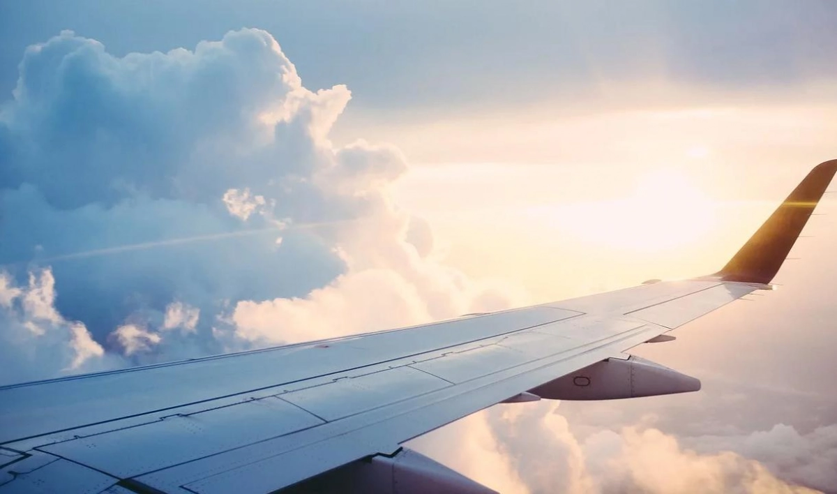 Авиакомпании дали советы романтикам, которые хотят сделать предложение второй половинке «на небесах» - tvspb.ru