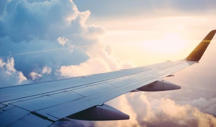 В России начали действовать электронные посадочные талоны в самолет - tvspb.ru