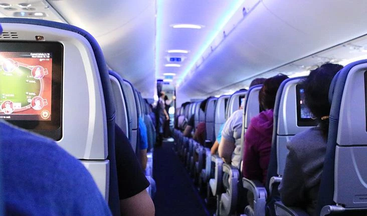 Актриса Лидия Вележева устроила дебош на борту самолета - tvspb.ru