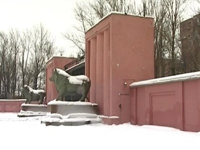 В Петербурге нашли двух мальчиков, уехавших на заброшенную мясную фабрику - tvspb.ru