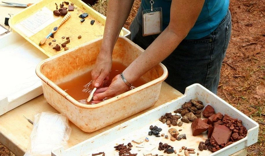 На Филиппинах нашли останки древних людей нового вида - tvspb.ru