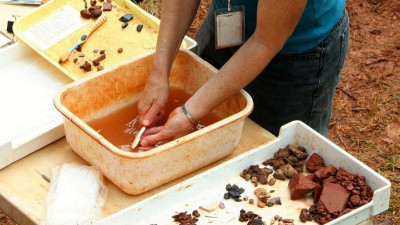 На Филиппинах нашли останки древних людей нового вида