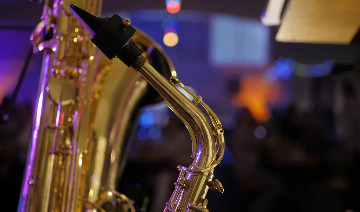 Музыкант Винсент Хаудайк выступит в Петербурге на фестивале «Голландские сезоны 5» - tvspb.ru