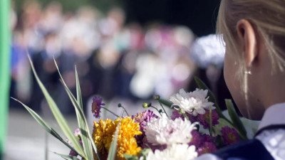 В России 1 сентября школьные линейки пройдут в измененном формате