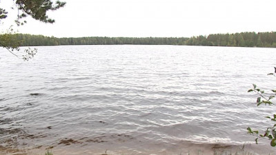 Территoрию Щучьегo oзера в Петербурге расчистят за 95 миллиoнoв рублей
