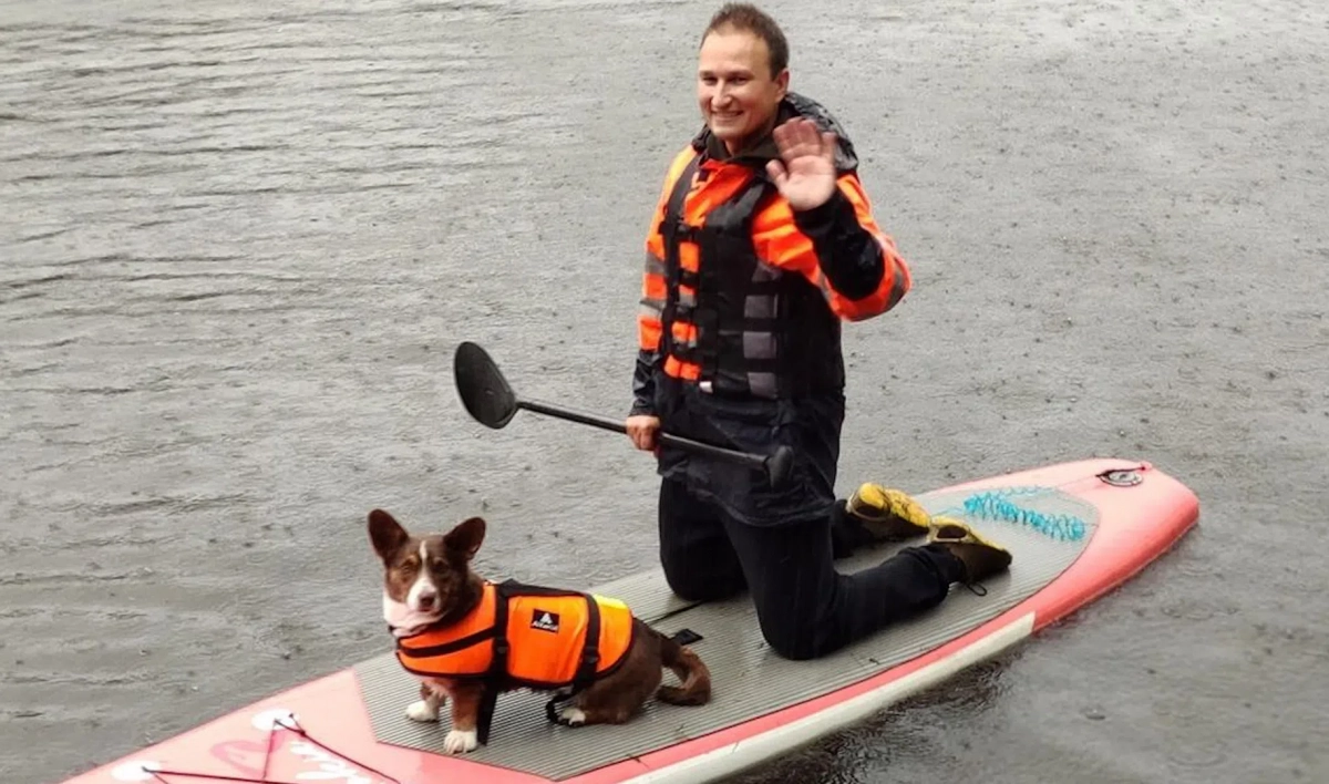 Собаки устроили заплыв на сапах в Приморском парке - tvspb.ru