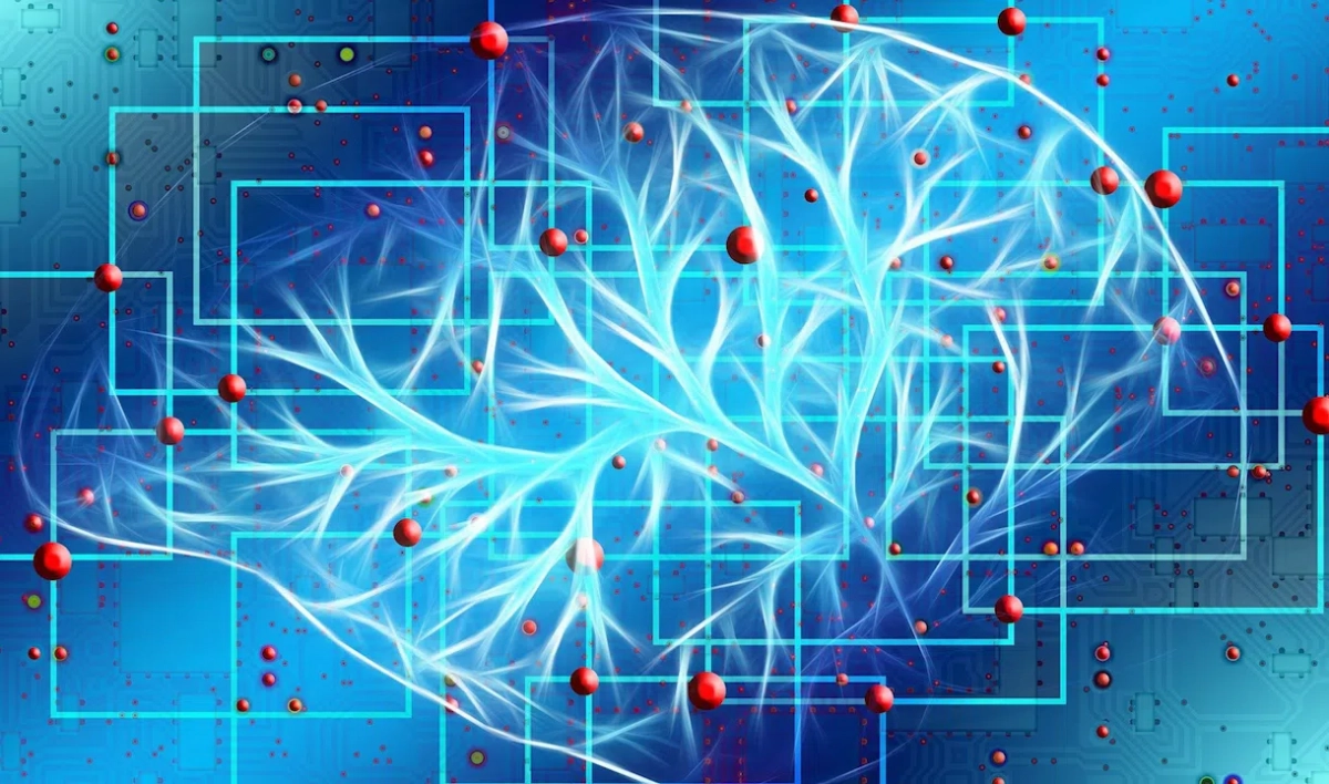 РАН, «Росатом» и МГУ намерены совместно работать над нейроморфным искусственным интеллектом - tvspb.ru
