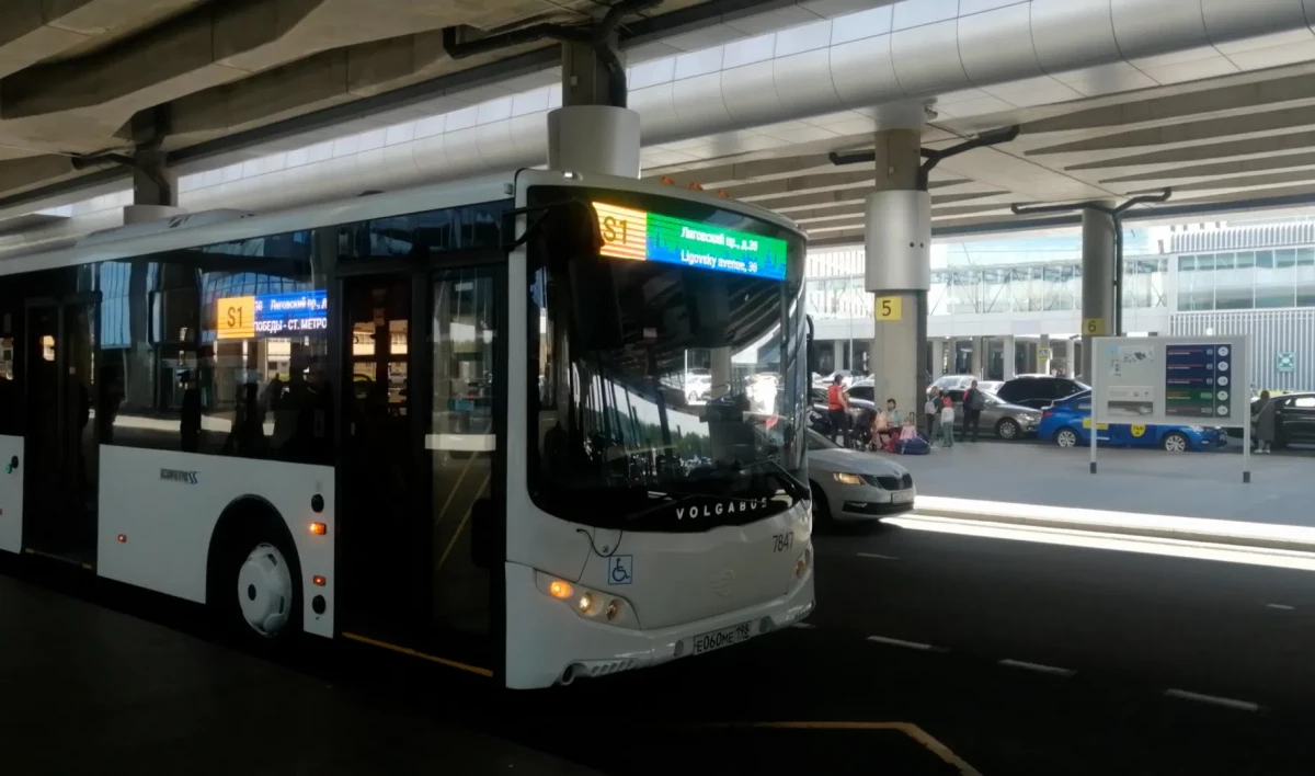 Шаттлы помогут болельщикам добраться на матч «Бельгия — Финляндия» - tvspb.ru