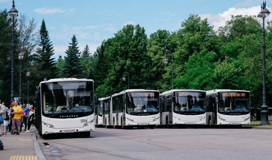120 автобусов доставят болельщиков на матч Швеция — Швейцария - tvspb.ru