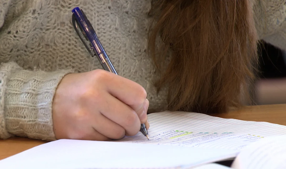 Правительство утвердило правила сдачи экзаменов для российских школьников, проживающих за границей - tvspb.ru