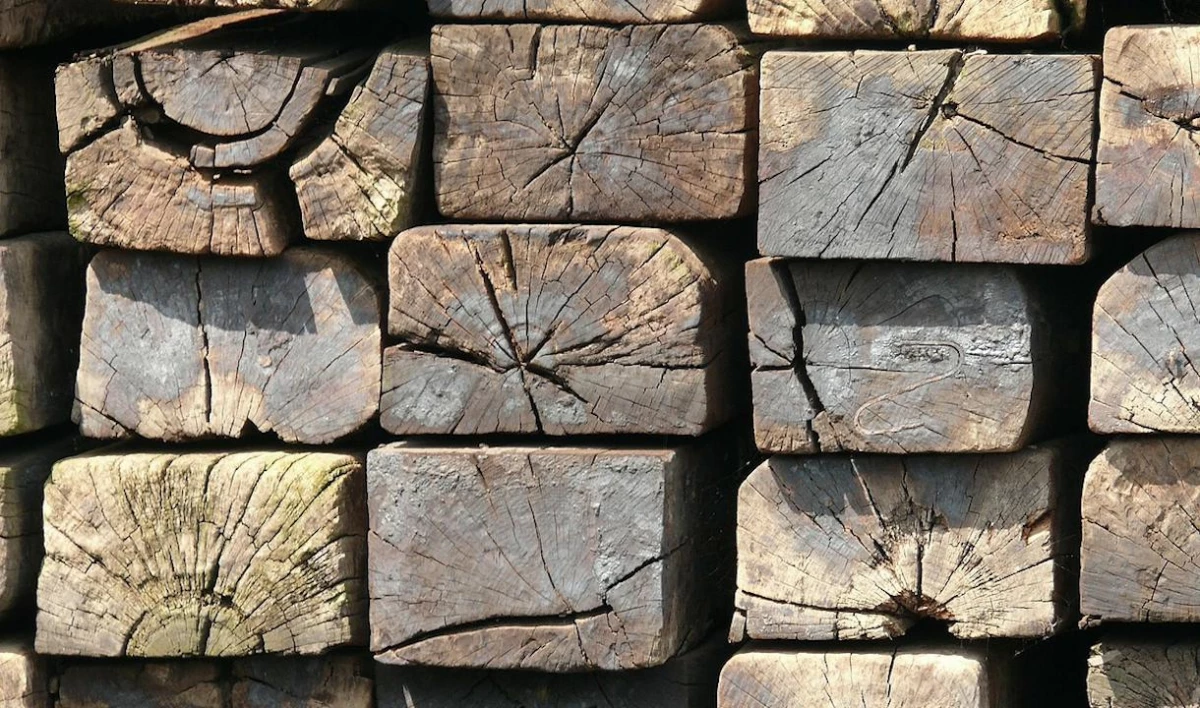 Правительство ввело уголовное наказание за вывоз из страны деревянных шпал - tvspb.ru