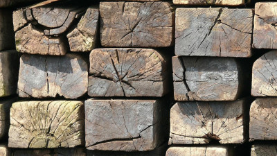 Правительство ввело уголовное наказание за вывоз из страны деревянных шпал