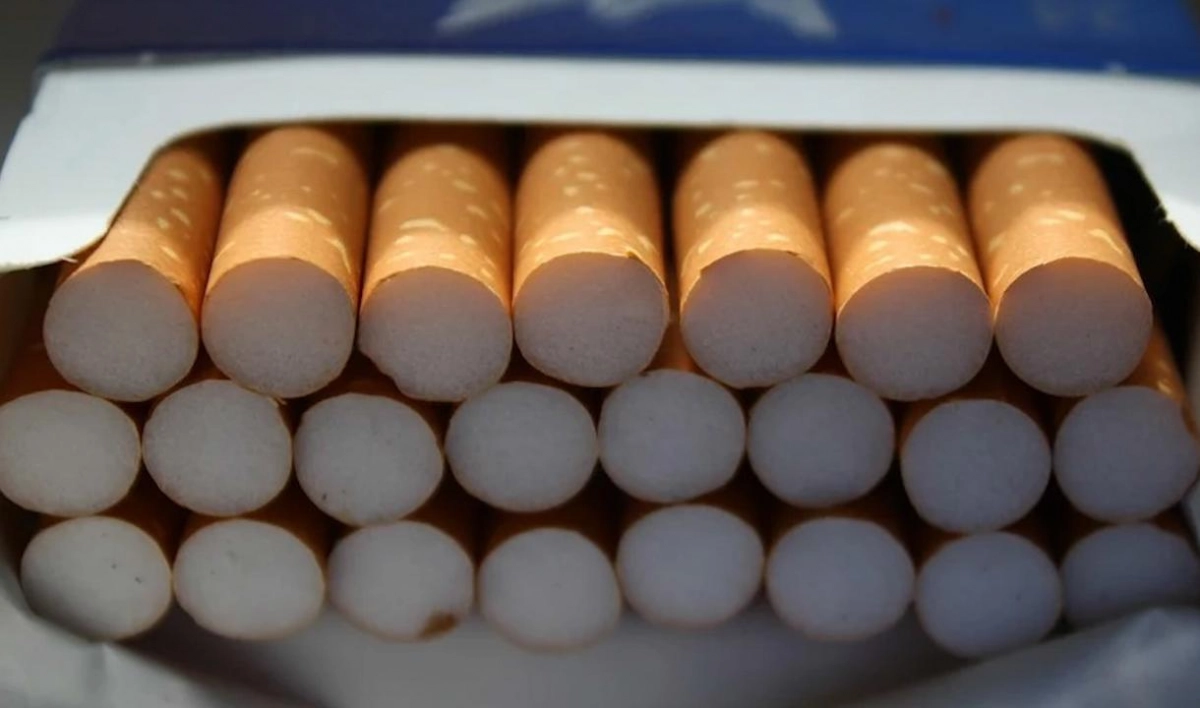 На рынке Петербурга нашли склад со 120 тысячами пачек нелегальных сигарет и табака для кальяна - tvspb.ru