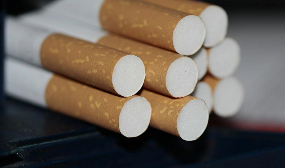 С начала года таможенники изъяли почти 3 млн контрабандных пачек сигарет - tvspb.ru