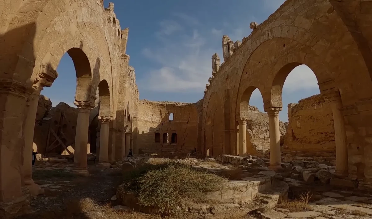 Петербургские ученые создают цифровые 3D-модели для восстановления памятников Сирии - tvspb.ru