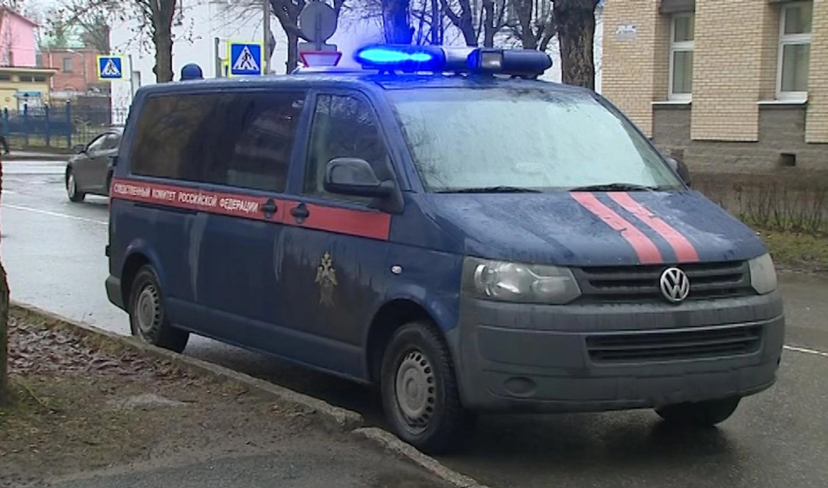 Следователи ищут свидетелей стрельбы по 10-летнему мальчику в Кингисеппе - tvspb.ru