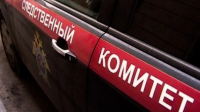 СК: Причиной массового отравления в Астрахани могли стать рыбные котлеты
