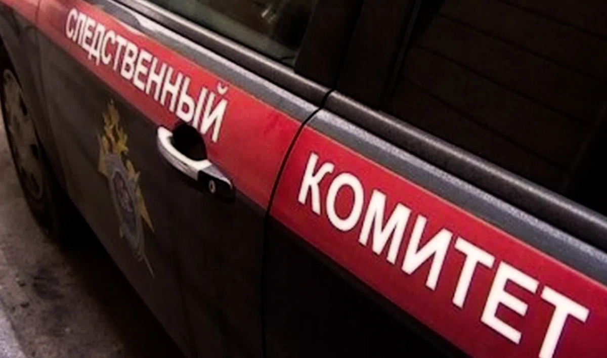 Грабителю, который ранил полицейского на АЗС на Будапештской улице, предъявили обвинение - tvspb.ru