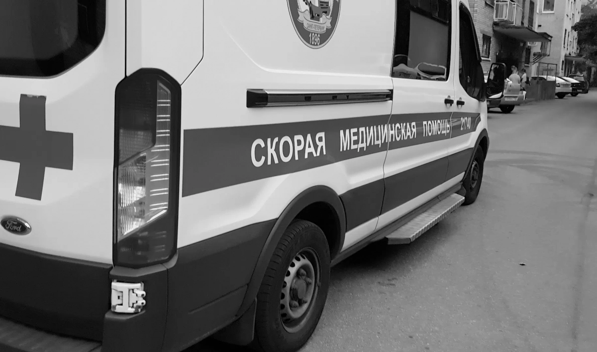 Легковушка влетела под КамАЗ в Кингисеппском районе, пассажир погиб на месте - tvspb.ru