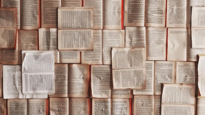 Петербургские психологи доказали равную эффективность двух способов запоминания новых слов