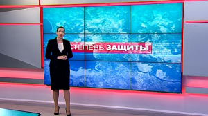 Степень защиты, 2 апреля