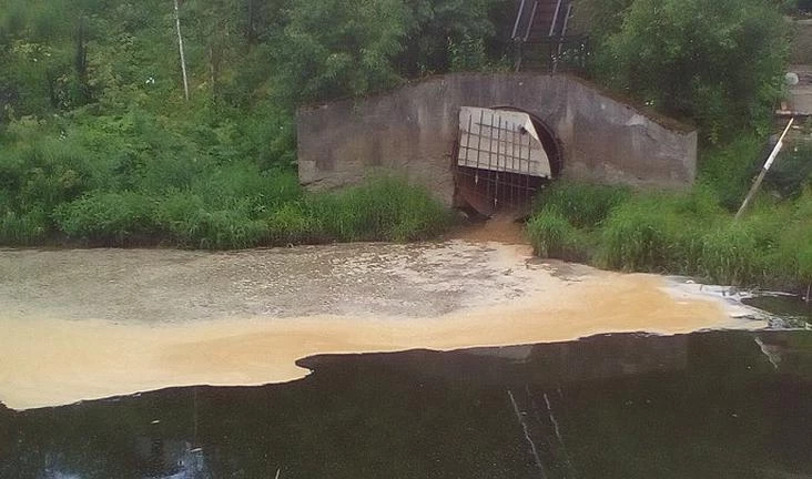 Дачники пожаловались на запах ацетона и канализации из реки Славянки - tvspb.ru