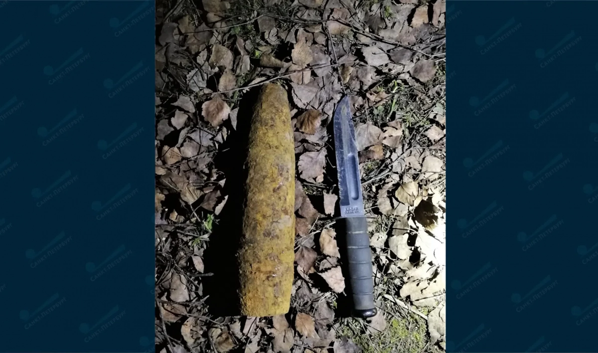 В Ломоносовском районе нашли два снаряда времен войны - tvspb.ru