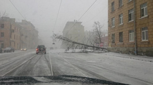 Как Петербург пережил субботний ураганный ветер