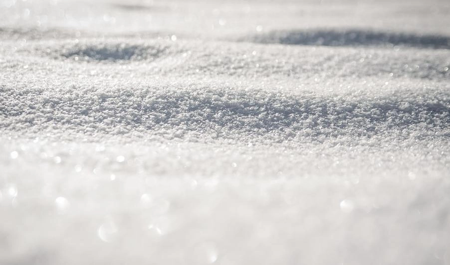 В Кемеровской области грязный снег покрасили белой краской - tvspb.ru