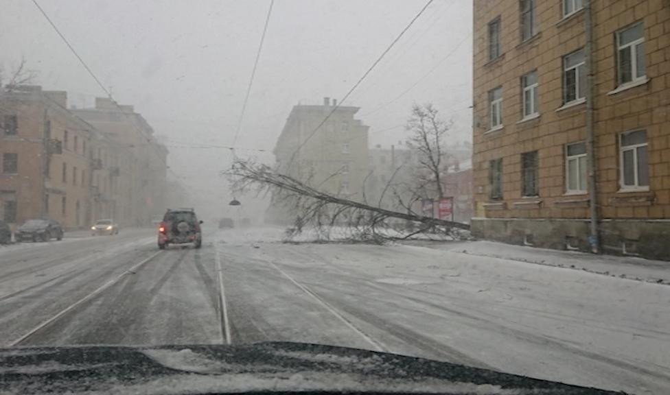 Прогноз погоды в Санкт-Петербурге на 10 дней — …