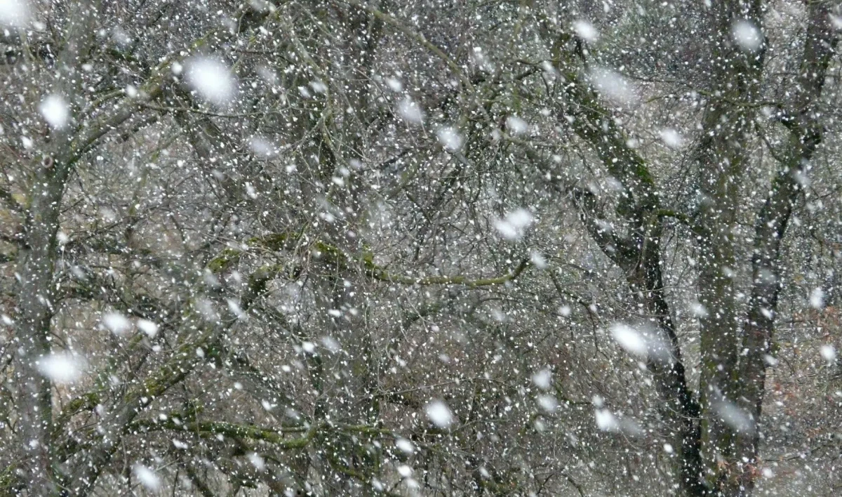 Синоптик: Снег в Петербурге в конце апреля – это норма - tvspb.ru