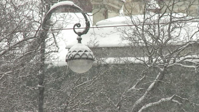 Как непогода и сезонная простуда влияют на рынок онлайн-ретейла