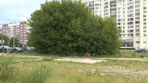Демонтаж строительных заборов в будущем парке на Смоленке