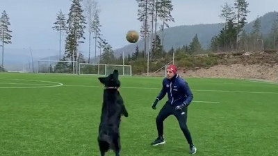 Четвероногий партнер. Игрок сборной Норвегии по пляжному волейболу тренируется в компании своей собаки