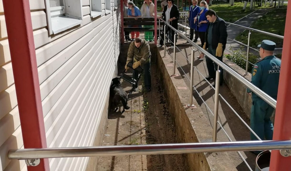 Спасатели Ленобласти помогли собаке выбраться из бетонного плена - tvspb.ru