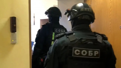 Петербургская полиция раскрыла финансовую пирамиду