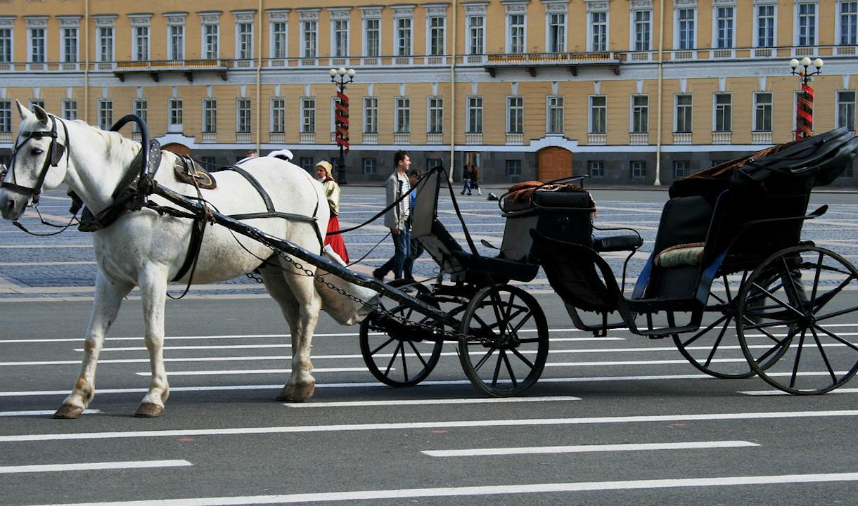 Петербурга перенос