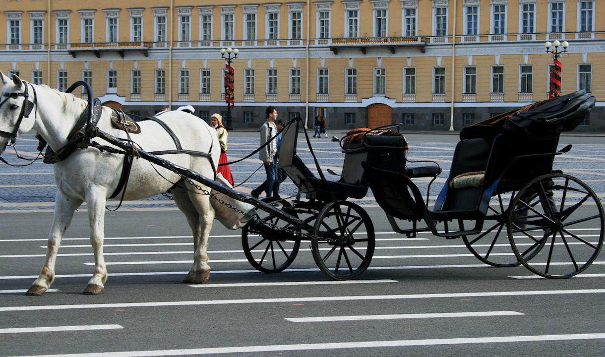 МИД разъяснил правила въезда в Петербург по электронной визе