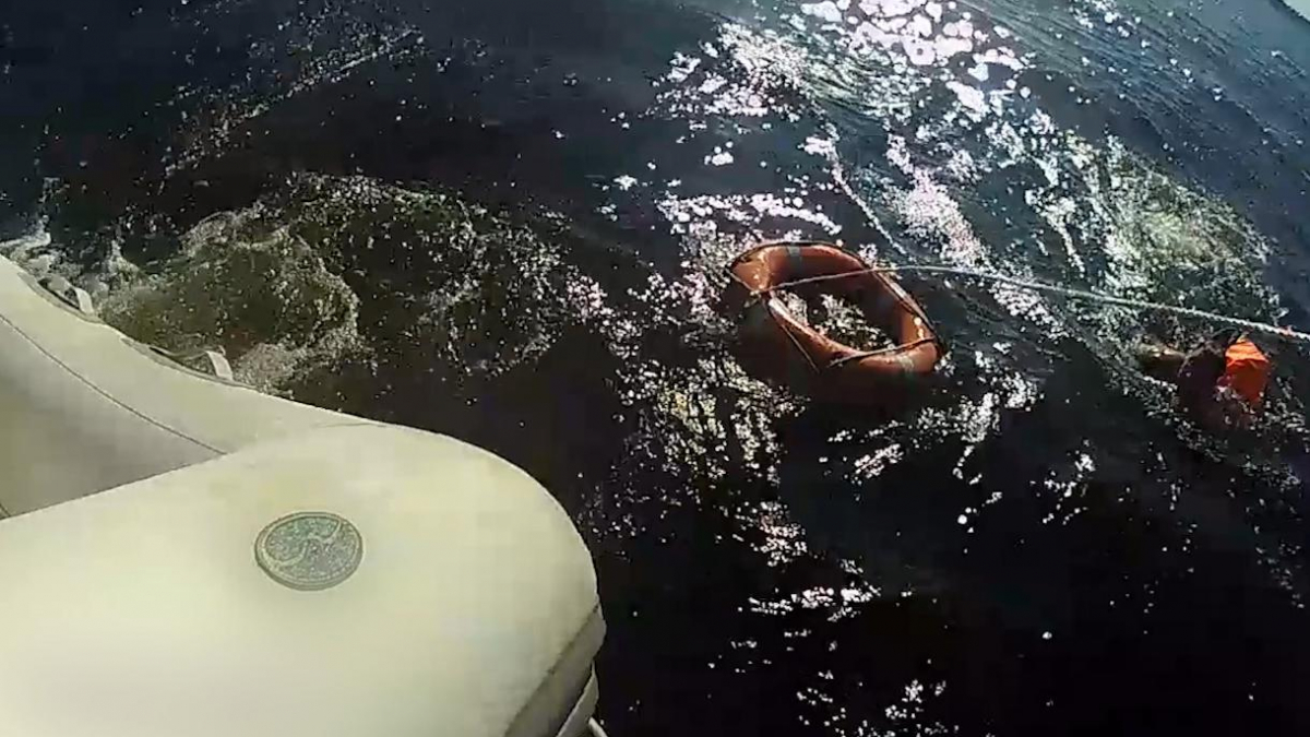 Спасение утопающей Ламбер. Эгоистичное спасение на тонущей лодке. Белая акула поймана в Неве в 2007.