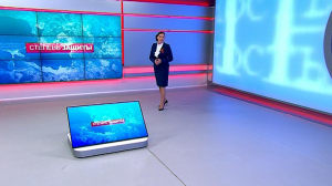 Степень защиты. 8 мая