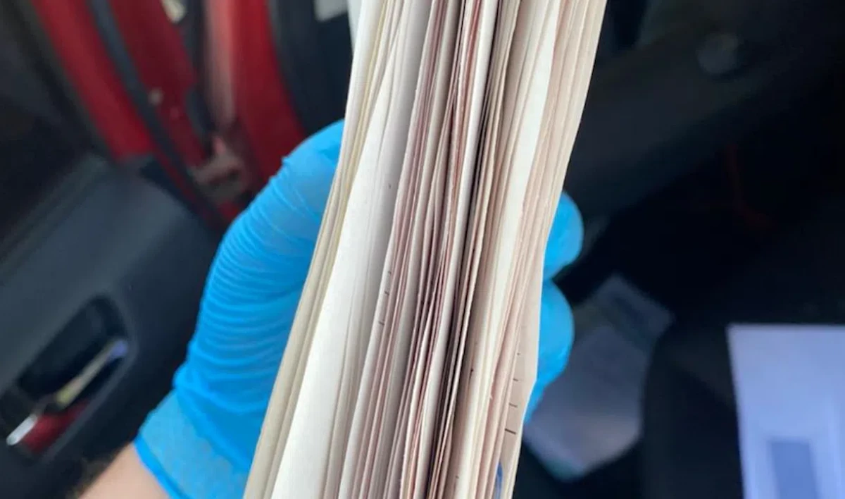 Торговца поддельными медсправками об отсутствии COVID задержали в Петербурге - tvspb.ru