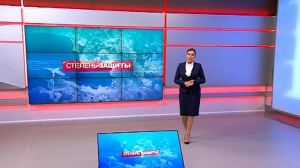 Степень защиты, 7 октября