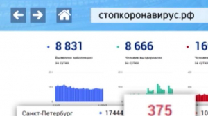 В России за минувшие сутки зафиксировали 8831 новых случаев коронавируса
