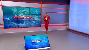 Степень защиты, 14 октября