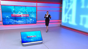 Степень защиты, 13 мая