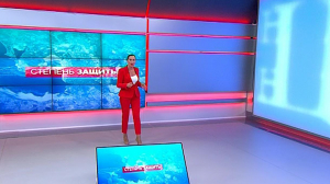 Степень защиты, 4 июня