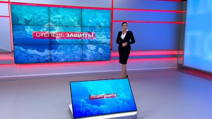 Степень защиты. 30 января