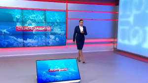 Степень защиты. 3 июля