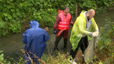 Волонтеры очистили Лиговский канал от мусора и опасных отходов