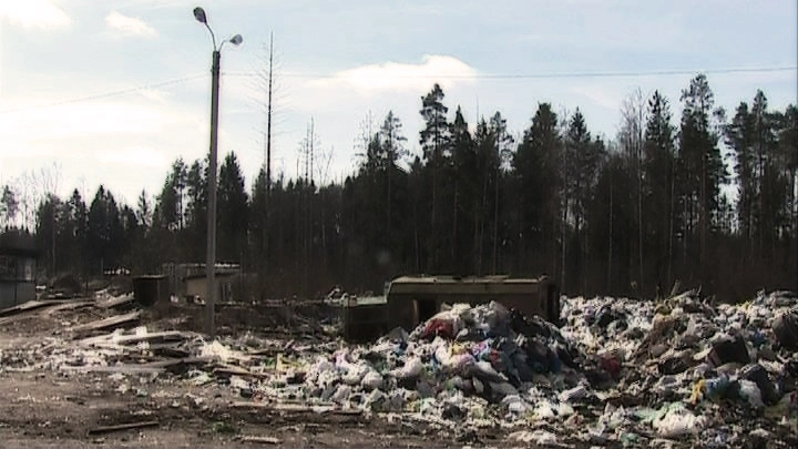 Канонерский остров очистят от крупнейшей свалки - tvspb.ru